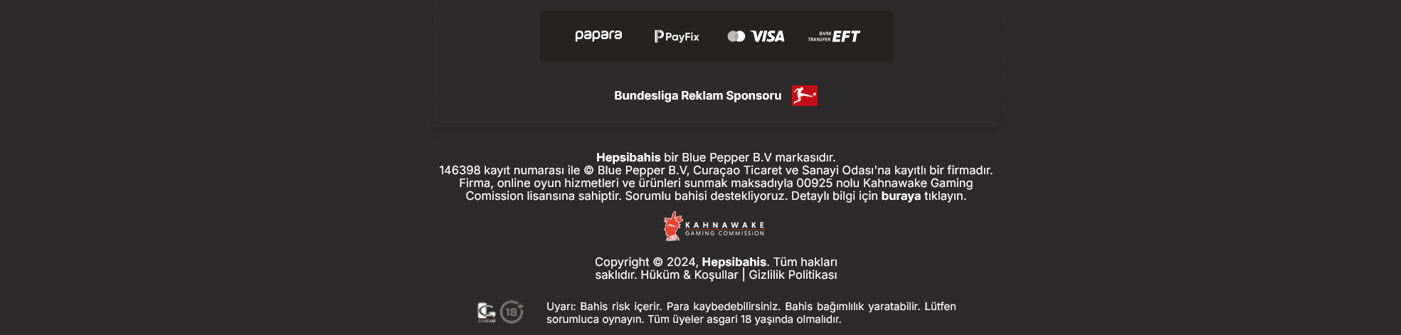 Youwin Papara ödeme yöntemi