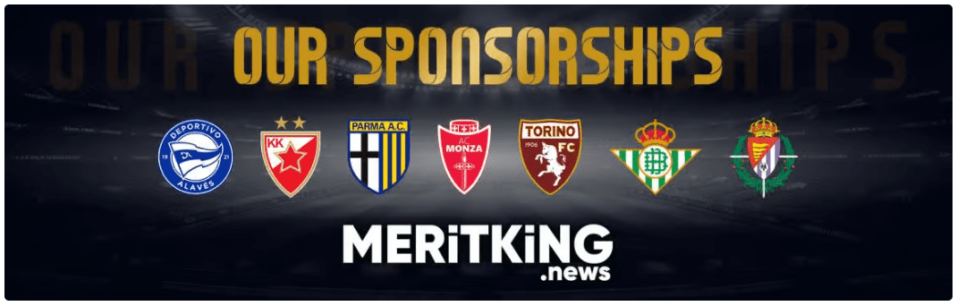 Meritking partnerleri
